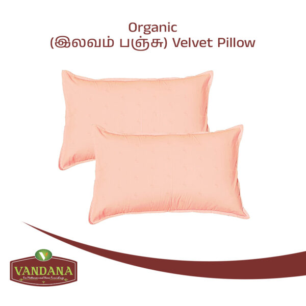 Organic-இலவம்-பஞ்சு-Velvet-Pillow
