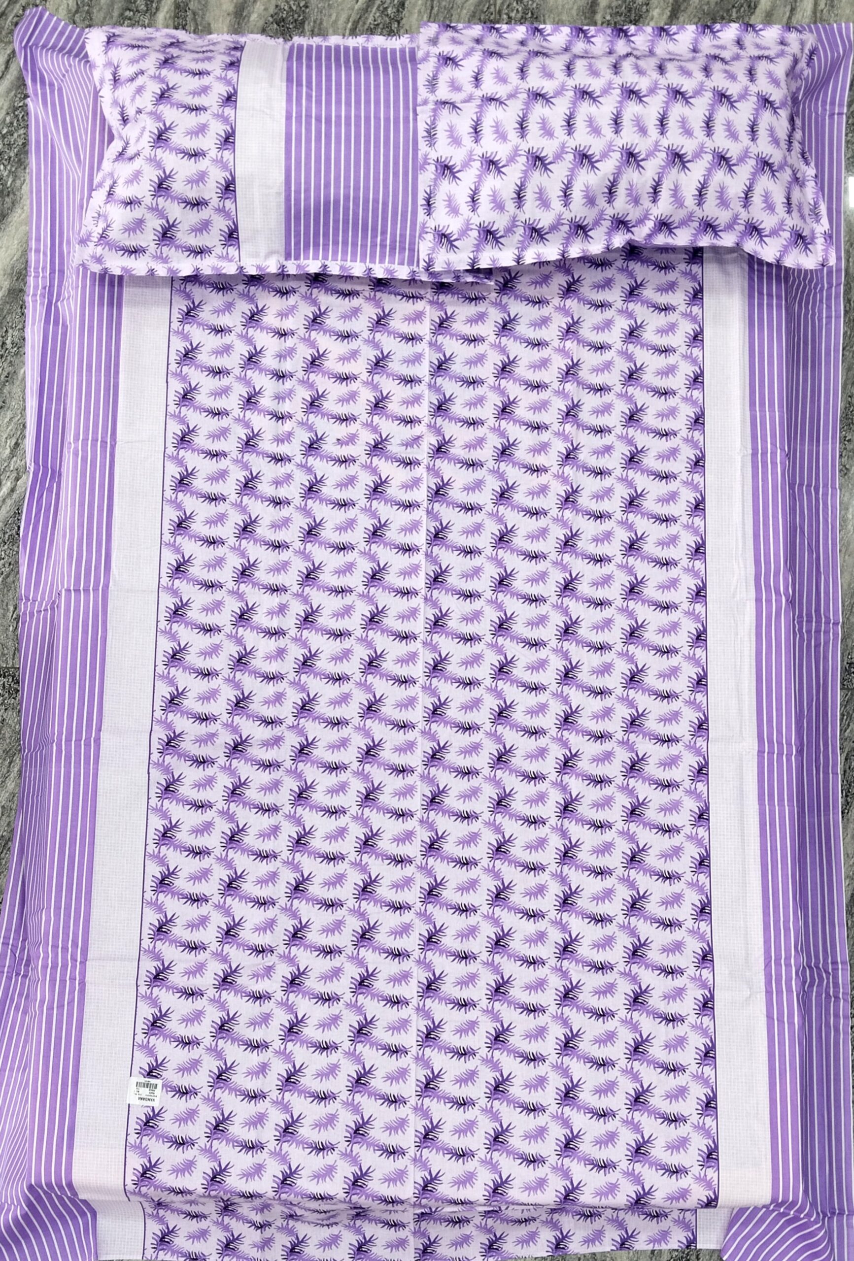 WhatsApp Image 2024-02-21 at 12.30.37 PM